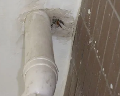 那曲地漏水检测哪家好